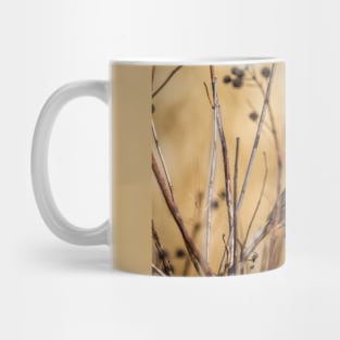 Sparrow Blending In With Its Winter Habitat Mug